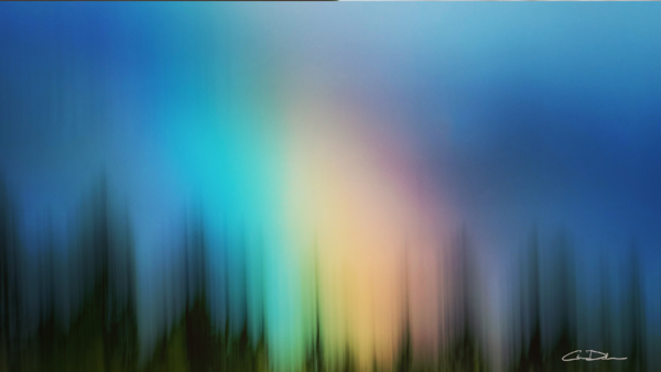 Abstract blurred landscape with vertical tree silhouettes and warm-to-cool color gradient from center outward.