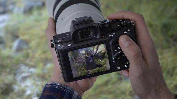 Photographer holding a mirrorless camera with telephoto lens attached, reviewing an image on the rear LCD screen outdoors.