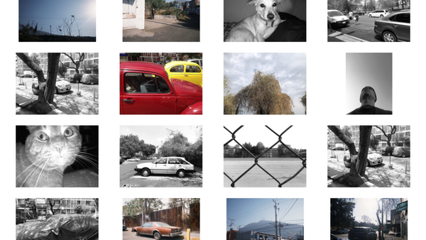 Grid layout of 16 photographs showcasing diverse subjects including vehicles, animals, architecture, and street scenes