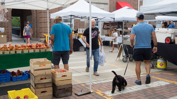 Outdoor farmers market with vendor stalls, wooden produce crates, and shoppers under white tents
