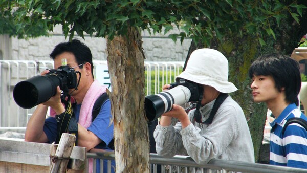 Four photographers with DSLR cameras and telephoto lenses positioned along a railing beneath tree cover