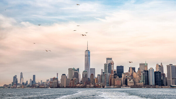 Manhattan skyline at golden hour with birds flying overhead and Hudson River in foreground