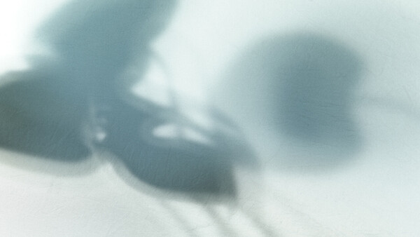 Blurred abstract composition with overlapping spherical and organic forms in muted blue-grey tones