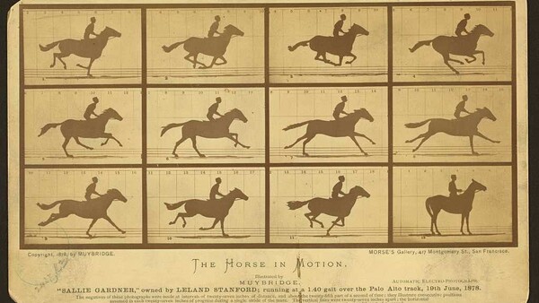 Murder, Movies, and Horses: The Strange Life of the Man Who Made Photographs Move