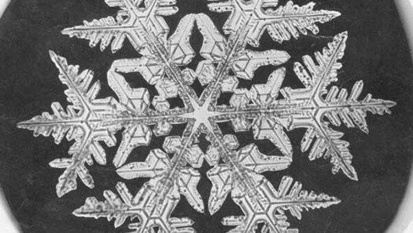 Detailed macro photograph of a snowflake crystal against dark background
