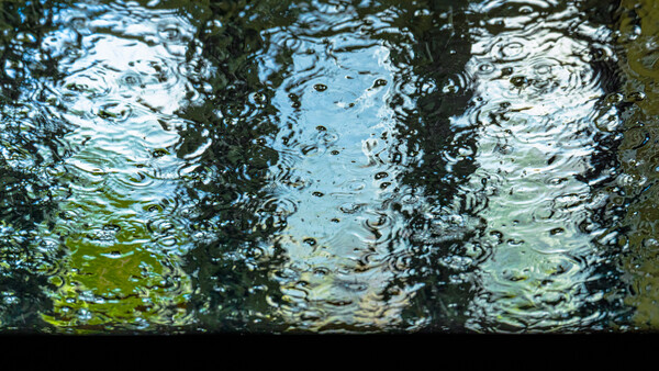 Underwater view through glass showing rippling water surface with light reflections and vegetation
