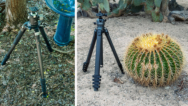 Two camera tripods with ball heads shown side by side outdoors, one on leaf-strewn mulch and one on sand beside a barrel cactus