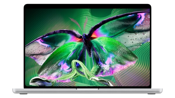 Silver laptop, viewed head-on, with a screen showing an iridescent green and purple butterfly artwork over a wavy green background.