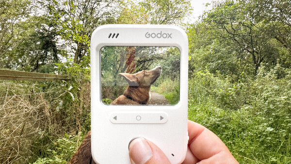 Godox portable display device showing wildlife photograph of elephant reaching toward tree