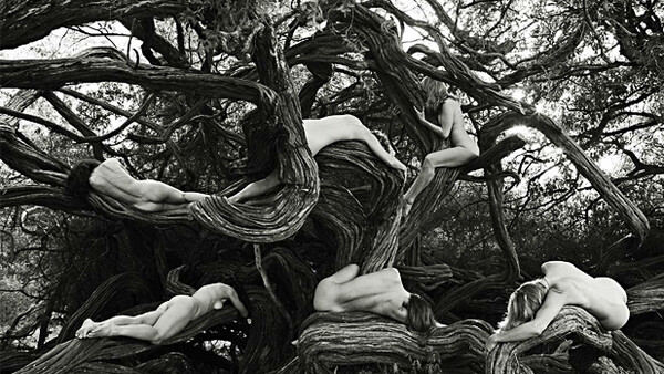 [Video] Fstoppers Original:  The Tree Spirit Project, Nudes In Nature