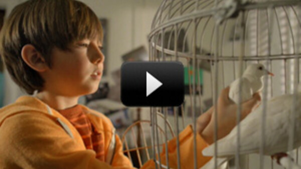 [Video] D800 HD Video "Through The Lens"