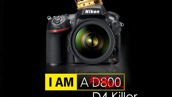 D4 Buyers May Want To Give The D800 A Second Look