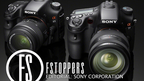 [Editorial] Can Sony's Digital Imaging Division Restore Profits?