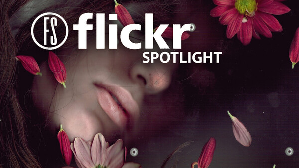 [Pics] Flickr Spotlight – Full Frame Scanography