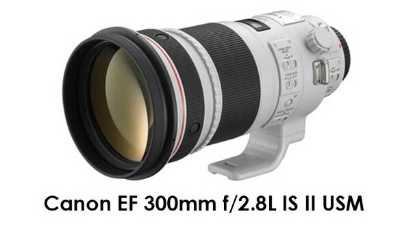 Canon EF 300mm f/2.8L IS II USM