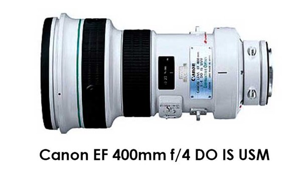 Canon EF 400mm f/4 DO IS USM
