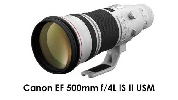 Canon EF 500mm f/4L IS II USM