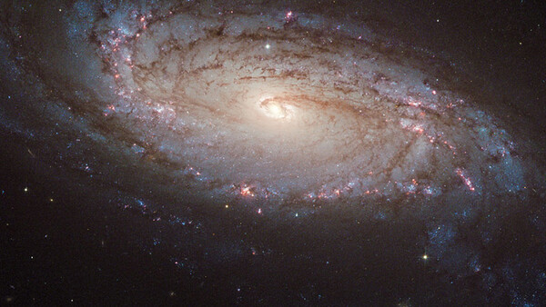 Hubble Space Telescope Spots a Supernova 80 Million Lightyears Away