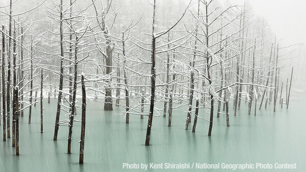 Spectacular Entries in National Geographic Photography Contest