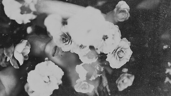The Intimate Work of Jenny Woods (NSFW)