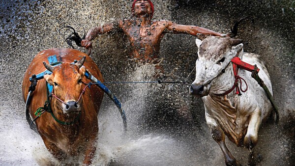 Winners of the 2013 World Press Photo Contest Announced – Some NSFW
