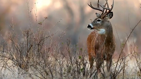 Tyler Stableford Beautifully Captures The American Outdoors For Cabela's