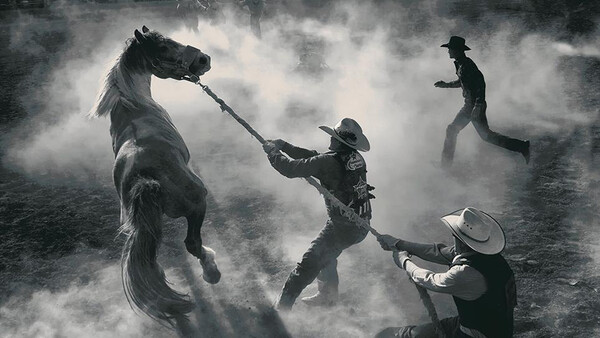 Smithsonian Magazine Announces Photo Contest Finalists