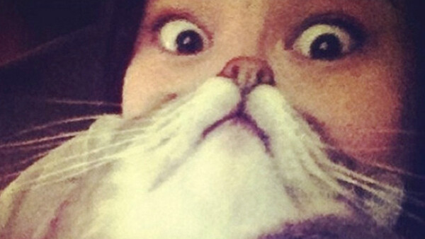 Cat Beards: The Latest Funny Photo Trend Involving Cats