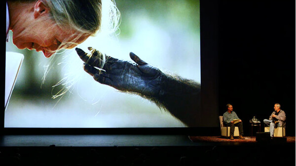 Look Again at the Look3 Photo Festival
