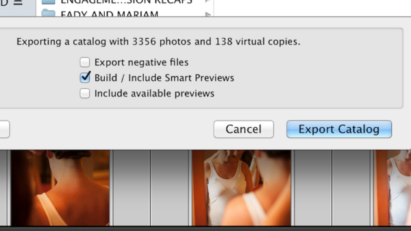 Lightroom 5 Smart Previews Bring Speed and Simplicity to Your Workflow