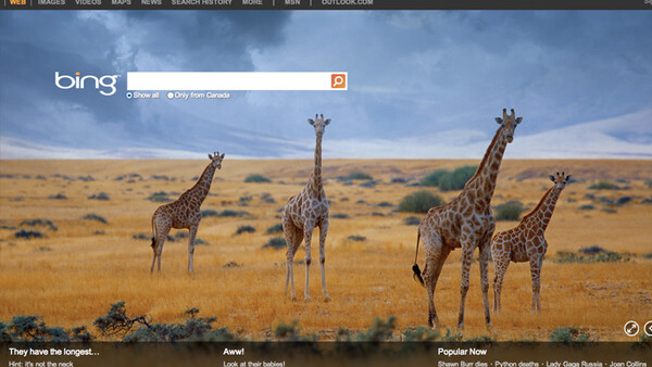 Bing and 500px Partner Up and Showcase User's Work