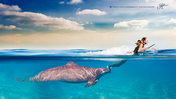 Amazing Underwater Imagery Breakdown: Magic Moments