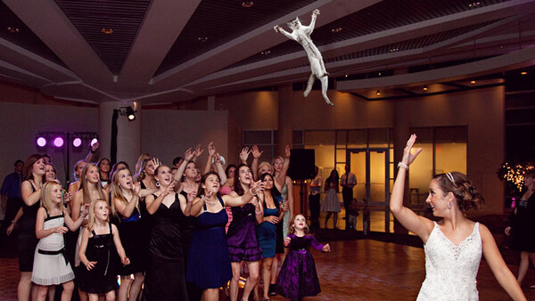Brides Throwing Cats Instead Of The Bouquet of Flowers