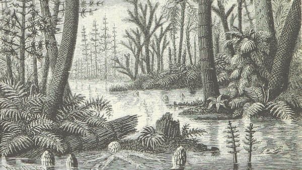  The British Library Adds One Million Public Domain Images to Flickr