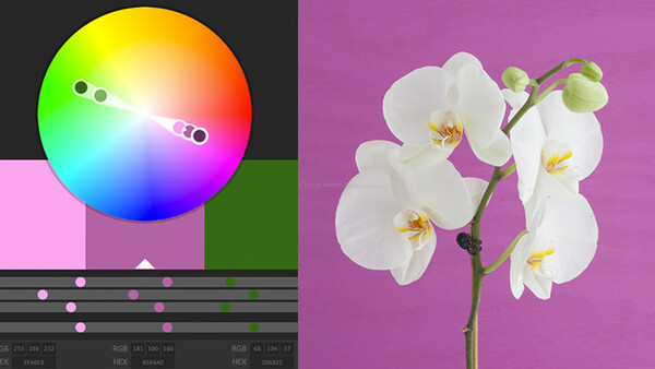 Gaining Inspiration Through Using A Color Wheel 