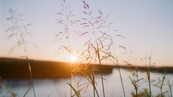 The Silver Lining Of A Saturated Photography Market