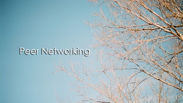 Tips For Peer Networking