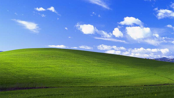 The Story Behind "Bliss" The Worlds Most Viewed Photograph