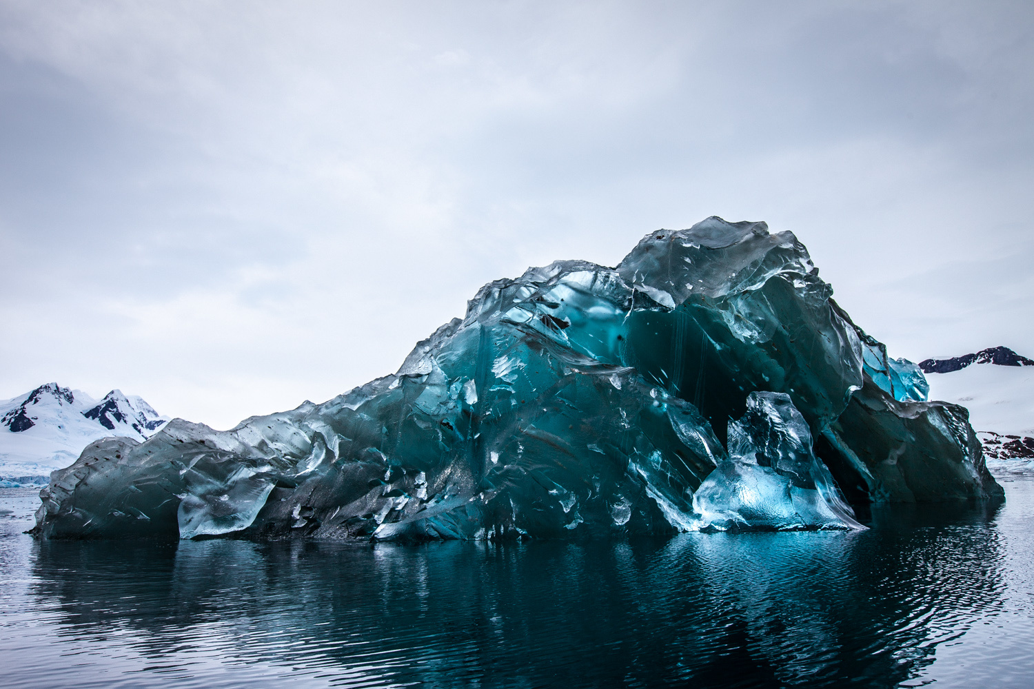 Ice iceberg fox hi-res stock photography and images - Alamy