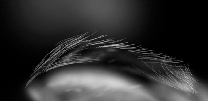 retouching eyebrows like a makeup