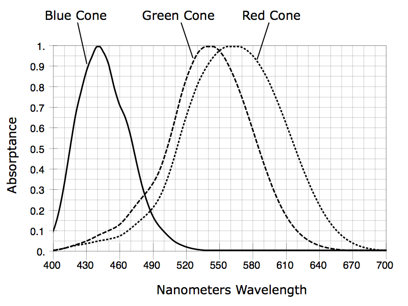 Normal Vs Color Disoriented Colorblindness and How One Company Is Helping to Fix It | Fstoppers