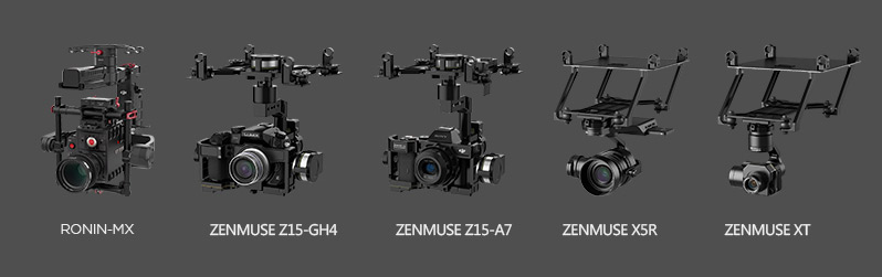 Gimbal dji best sale ronin mx