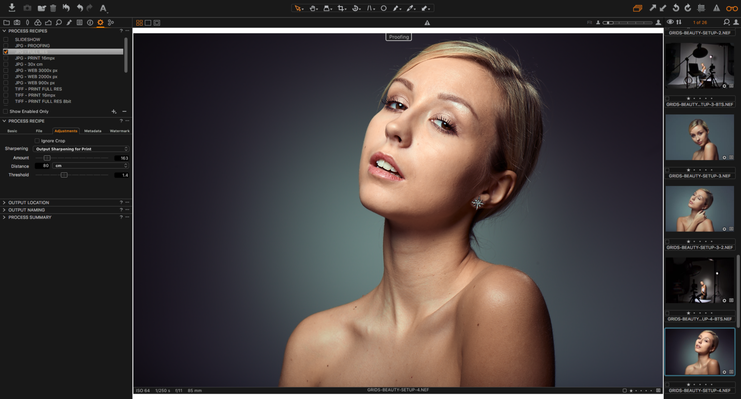 Capture One 23 Pro 16.2.2.1406 download the last version for windows