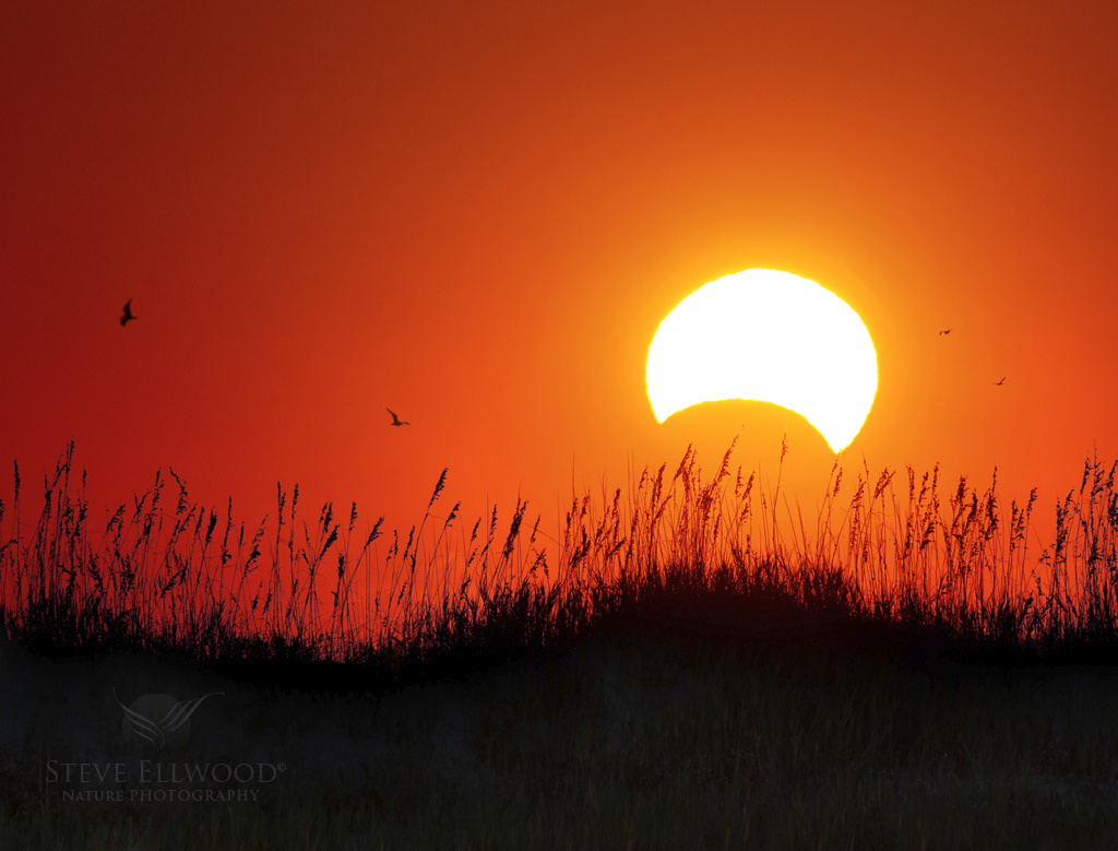 How to Photograph the Total Solar Eclipse and Get Better Images