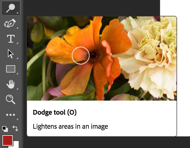 adobe announces lightroom classic cc