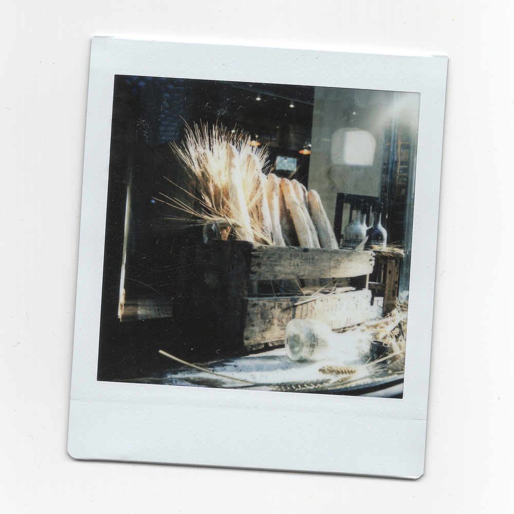 Instax SQ6 Technique: Framing, Parallax, and Exposure