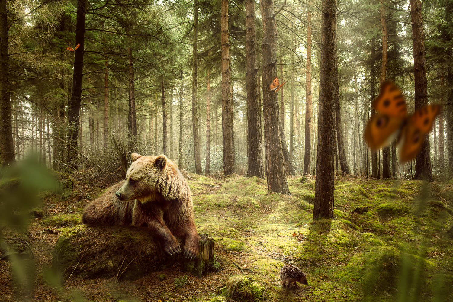 The Art of Composite Photography Part One Fstoppers