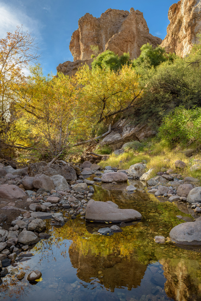 best fall colors in your phone photos