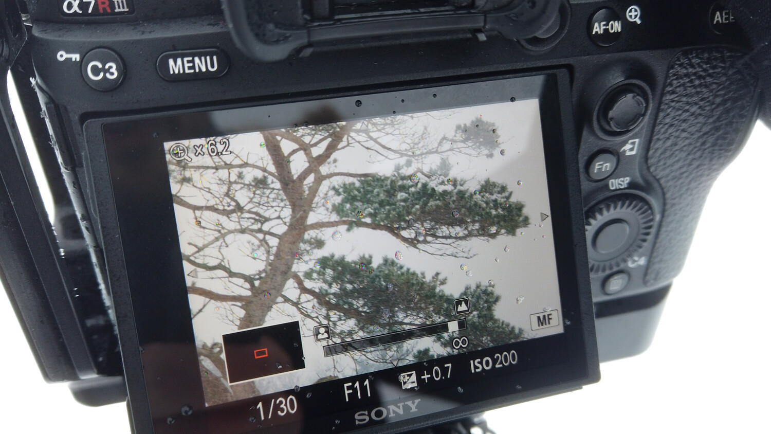 Manual Focus Versus Autofocus Versus Back-Button Focus for Landscape ...
