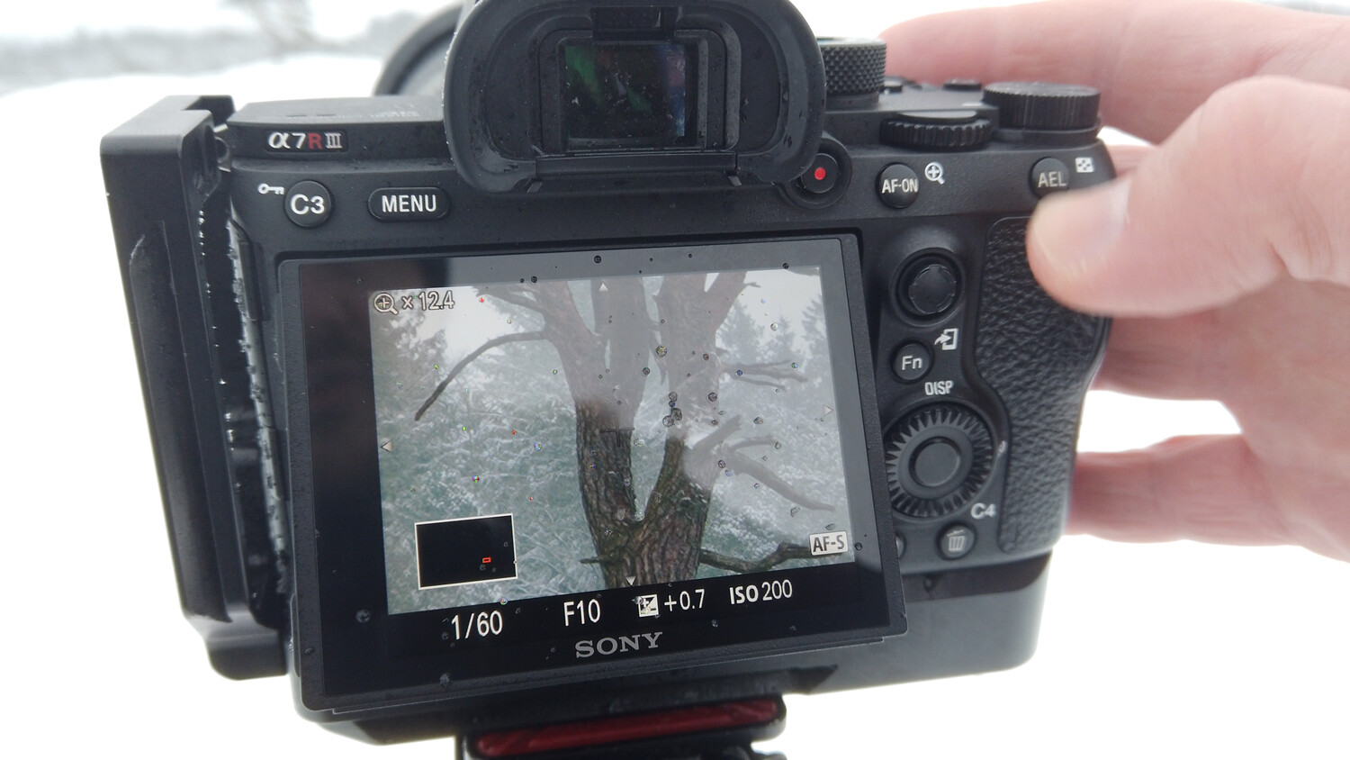 Manual Focus Versus Autofocus Versus Back-Button Focus for Landscape ...